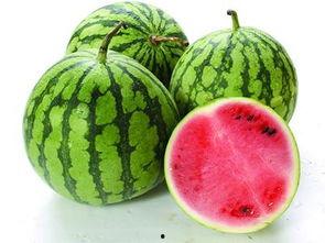 什么瓜不能死人吃,为何某些“瓜”不能让人类食用