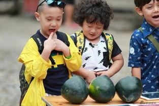 吃瓜大娃,揭秘娱乐圈幕后那些事儿