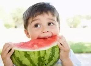 一休带你吃瓜,揭秘美食背后的故事