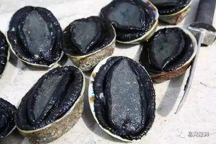 吃瓜黑金鲍,吃瓜者的美食之旅