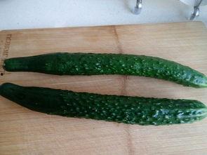 吃瓜重口味男生,一场视觉与味蕾的双重盛宴